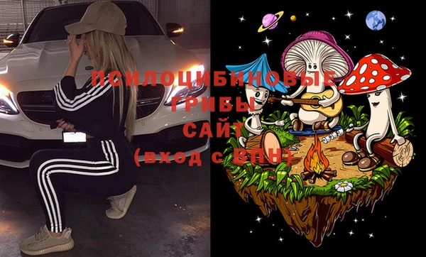 винт Нягань