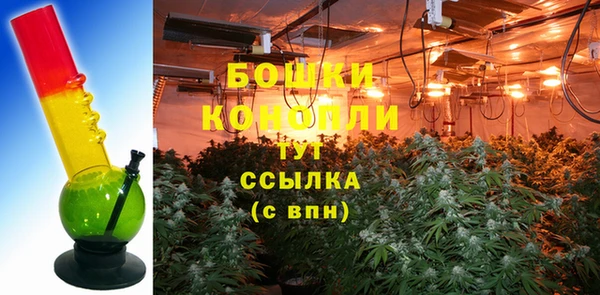 мдпв Билибино