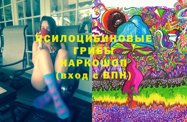 винт Нягань