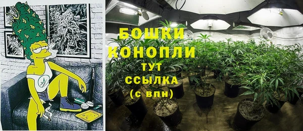 ECSTASY Беслан