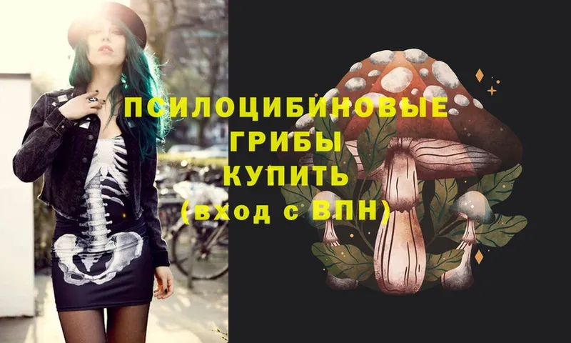 МЕГА tor  Бежецк  Псилоцибиновые грибы Cubensis 
