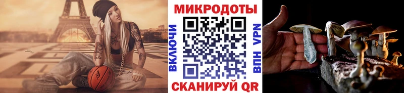 OMG ТОР  Бежецк  Галлюциногенные грибы мицелий  купить наркотики сайты 